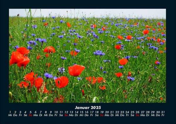 Produktbild: Blumentr&auml;ume 2025 Fotokalender DIN A4