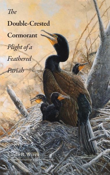 Produktbild: Double-Crested Cormorant