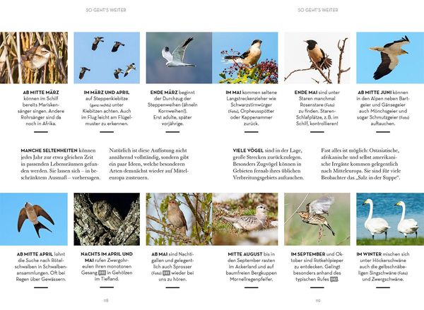 Produktbild: V&ouml;gel beobachten