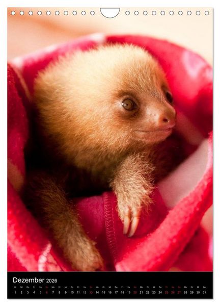 Produktbild: Tiere - Animals (Wandkalender 2026 DIN A4 hoch), CALVENDO Monatskalender