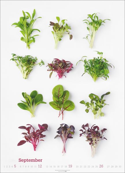 Produktbild: Fresh Food Kalender 2027