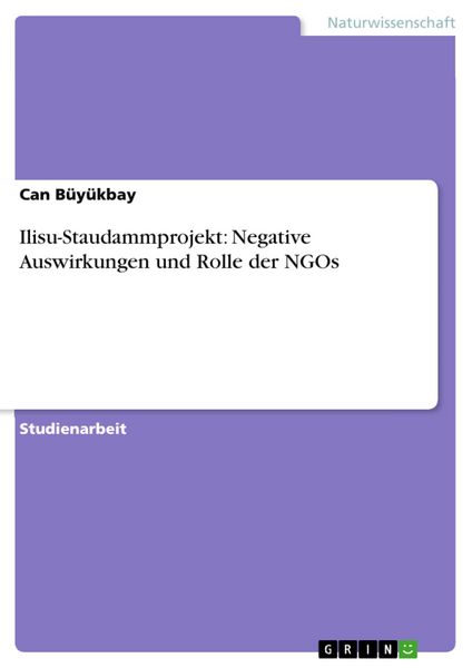 Produktbild: Ilisu-Staudammprojekt: Negative Auswirkungen und Rolle der NGOs