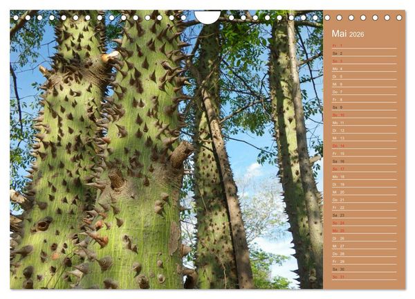Produktbild: Bilder aus dem Chaco in Paraguay (Wandkalender 2026 DIN A4 quer), CALVENDO Monatskalender