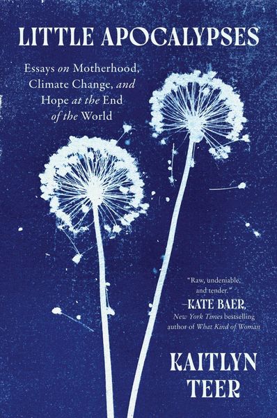 Little Apocalypses, Taschenbuch von Kaitlyn Teer, Harper Collins Publ. USA, 978-0-06-344022-7