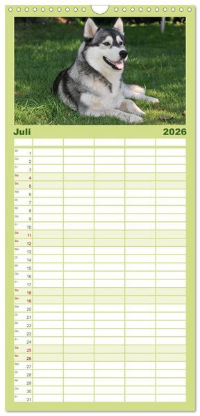 Produktbild: Familienplaner 2026 - Siberian Husky - der Urtyp mit 5 Spalten (Wandkalender, 21 x 45 cm) CALVENDO