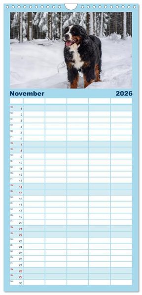 Produktbild: Familienplaner 2026 - Berner Sennenhunde - Faszinierende Herzensbrecher mit 5 Spalten (Wandkalender, 21 x 45 cm) CALVENDO