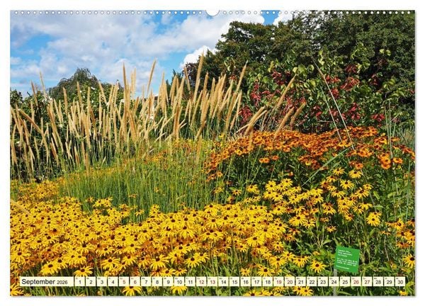 Produktbild: Der Hermannshof Das Parkjuwel in Weinheim an der Bergstra&szlig;e (hochwertiger Premium Wandkalender 2026 DIN A2 quer), Kunstdruck in Hochglanz