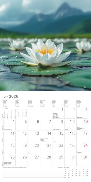 Produktbild: Sunny Moments 2026 - Broschürenkalender 30x30 cm (30x60 geöffnet) - Kalender mit Platz für Notizen - Bildkalender - Wandplaner - Wandkalender