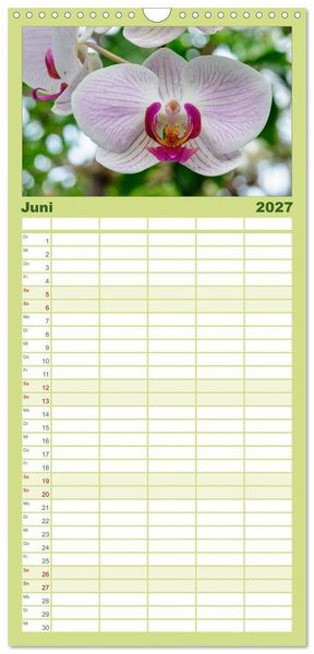 Produktbild: Familienplaner 2027 - Wunderbare Orchideen mit 5 Spalten (Wandkalender, 21 x 45 cm) CALVENDO