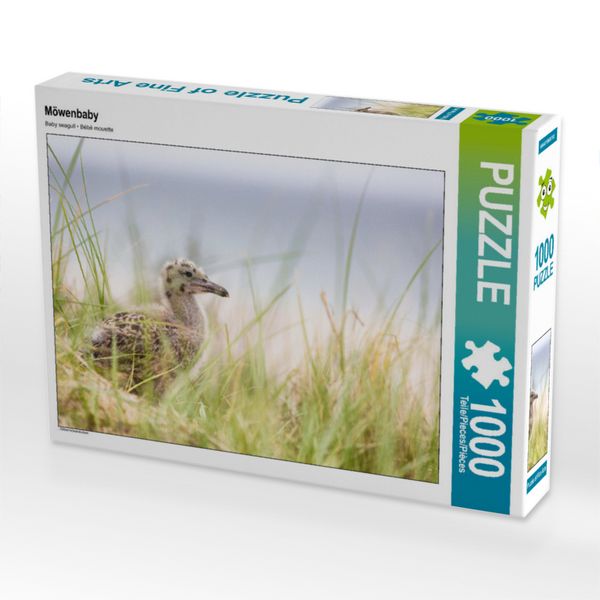 Produktbild: CALVENDO Puzzle M&ouml;wenbaby | 1000 Teile Lege-Gr&ouml;&szlig;e 64x48cm Foto-Puzzle f&uuml;r gl&uuml;ckliche Stunden