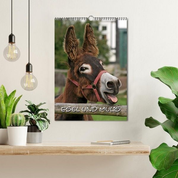 Produktbild: Esel und Mulis (Wandkalender 2027 DIN A3 hoch), CALVENDO Monatskalender