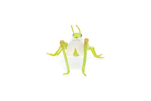 Produktbild: Spielfigur Heuschrecke 7cm