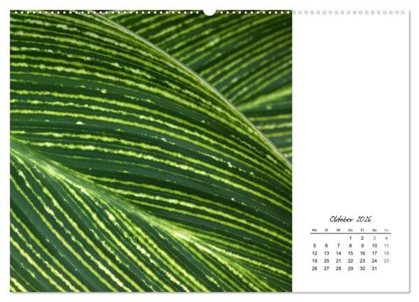 Produktbild: Blattkunst (hochwertiger Premium Wandkalender 2026 DIN A2 quer), Kunstdruck in Hochglanz