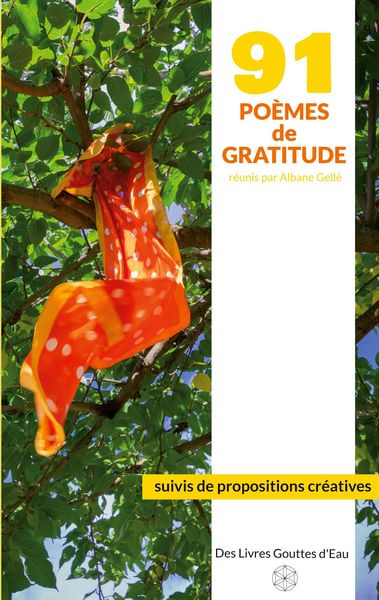 Produktbild: 91 po&egrave;mes de gratitude
