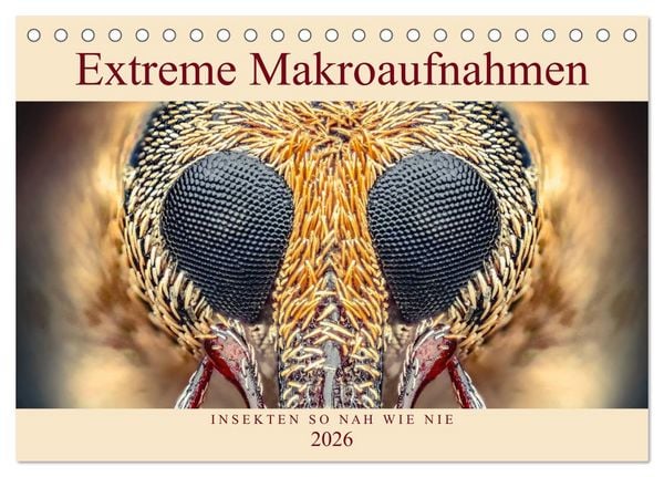 Produktbild: Extreme Makroaufnahmen - Insekten so nah wie nie (Tischkalender 2026 DIN A5 quer), CALVENDO Monatskalender