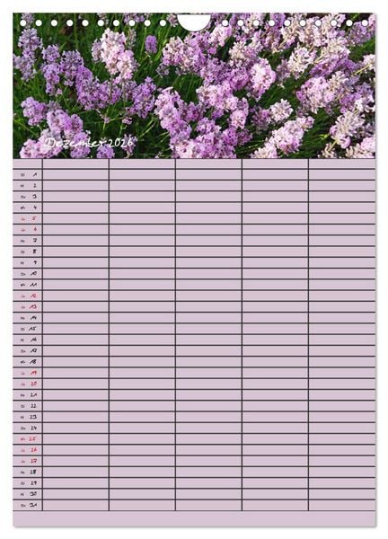 Produktbild: Naturzauber Lavendel - Familienplaner (Wandkalender 2026 DIN A4 hoch), CALVENDO Monatskalender