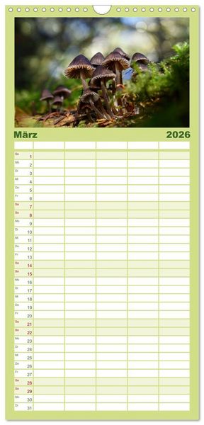 Produktbild: Familienplaner 2026 - Schwammerl Egerlinge Pilze mit 5 Spalten (Wandkalender, 21 x 45 cm) CALVENDO