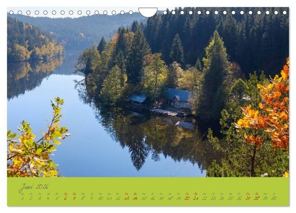 Produktbild: Der Bayerische Wald (Wandkalender 2026 DIN A4 quer), CALVENDO Monatskalender