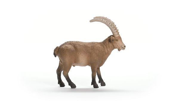 Produktbild: schleich&reg; Wild Life Steinbock 3,2cm