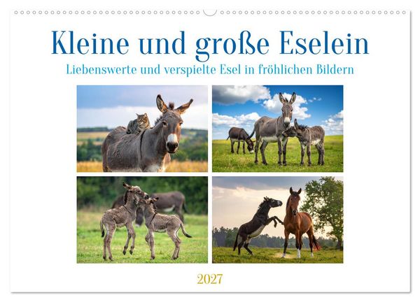 Produktbild: Kleine und gro&szlig;e Eselein (Wandkalender 2027 DIN A2 quer), CALVENDO Monatskalender