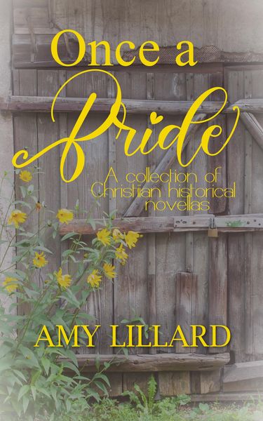 Produktbild: Once a Bride