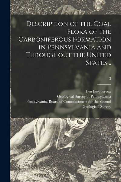Produktbild: Description of the Coal Flora of the Carboniferous Formation in Pennsylvania and Throughout the United States ..; 3