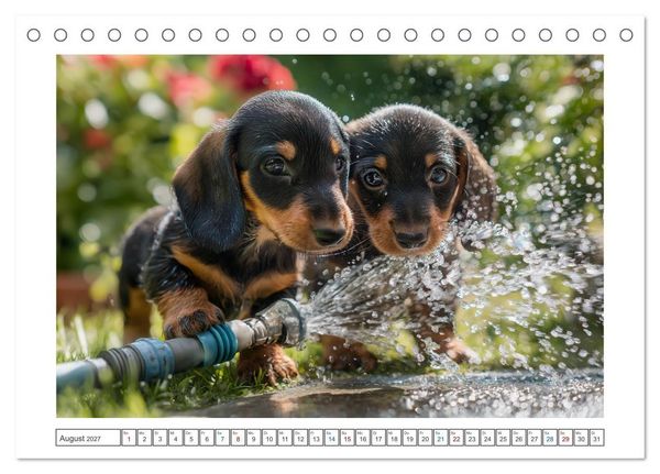Produktbild: Kleine Beine, gro&szlig;es Gl&uuml;ck (Tischkalender 2027 DIN A5 quer), CALVENDO Monatskalender