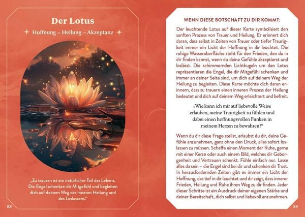 Produktbild: Orakel-Karten-Set: Engel-Orakel | Erfahre die sanfte Führung aus dem Reich des Lichts und erhelle dein Herz