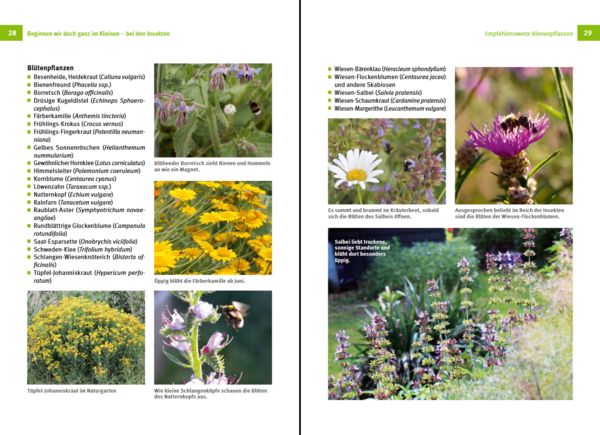 Produktbild: N&uuml;tzlinge im Garten f&ouml;rdern