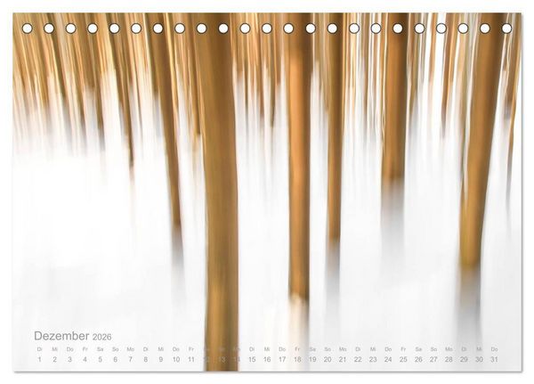 Produktbild: Astrein! - Der Baumkalender 2026 (Tischkalender 2026 DIN A5 quer), CALVENDO Monatskalender