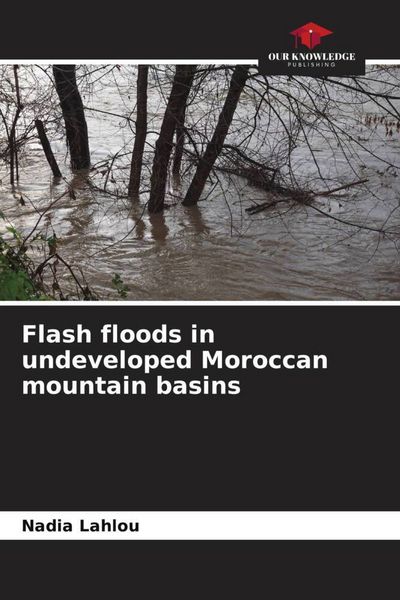 Produktbild: Flash floods in undeveloped Moroccan mountain basins