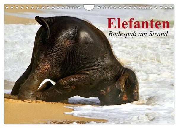 Produktbild: Elefanten. Badespa&szlig; am Strand (Wandkalender 2026 DIN A4 quer), CALVENDO Monatskalender