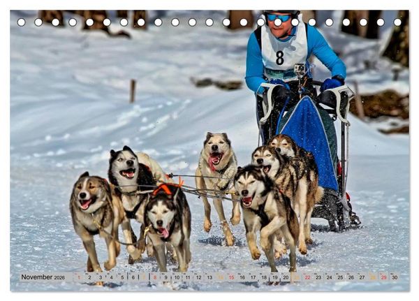 Produktbild: Huskies - Schlittenhunde (Tischkalender 2026 DIN A5 quer), CALVENDO Monatskalender