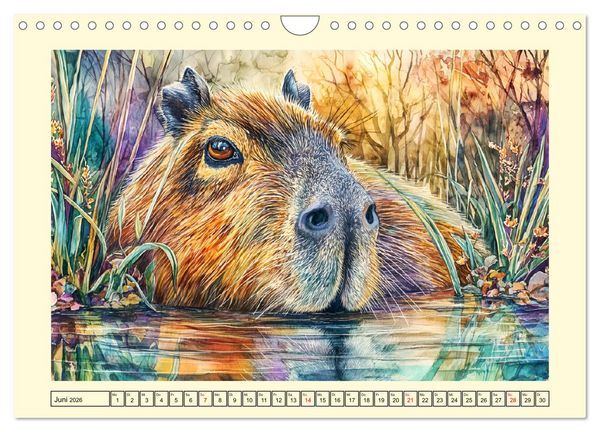 Produktbild: Wasserschweine. Bezaubernde Capybaras in der Natur (Wandkalender 2026 DIN A4 quer), CALVENDO Monatskalender