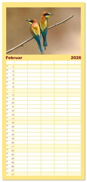 Produktbild: Familienplaner 2026 - Bunte Flieger mit 5 Spalten (Wandkalender, 21 x 45 cm) CALVENDO