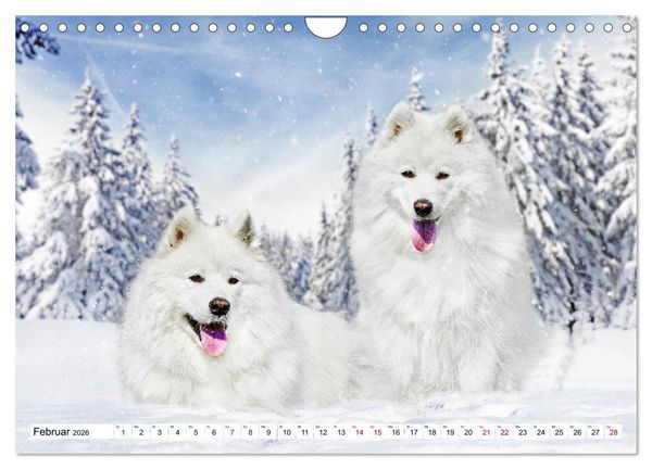 Produktbild: Ohne Hund ist alles nichts - Mit unseren besten Freunden durch das Jahr (Wandkalender 2026 DIN A4 quer), CALVENDO Monatskalender