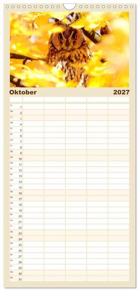 Produktbild: Familienplaner 2027 - Heimische Eulen und Greife mit 5 Spalten (Wandkalender, 21 x 45 cm) CALVENDO