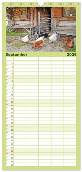 Produktbild: Familienplaner 2026 - Alte Zeitzeugen mit 5 Spalten (Wandkalender, 21 x 45 cm) CALVENDO