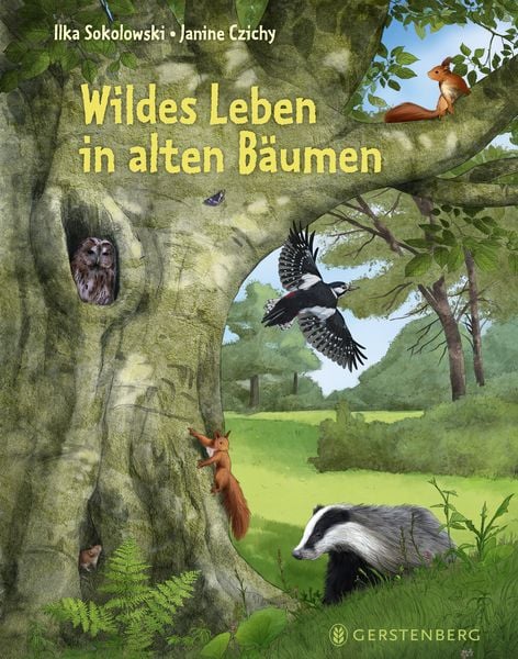 Produktbild: Wildes Leben in alten Bäumen