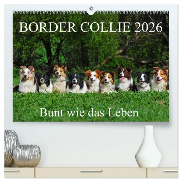 Produktbild: Border Collie 2026 (hochwertiger Premium Wandkalender 2026 DIN A2 quer), Kunstdruck in Hochglanz
