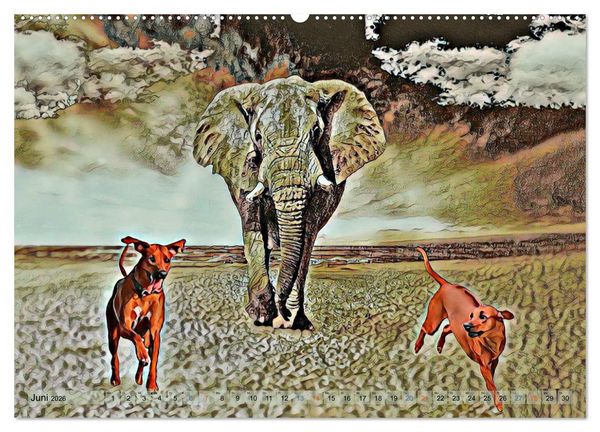 Produktbild: Rhodesian Ridgeback der Hund mit dem Tropfen L&ouml;wenblut (Wandkalender 2026 DIN A2 quer), CALVENDO Monatskalender