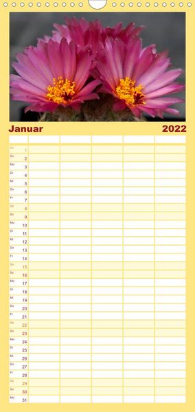Produktbild: Bl&uuml;tensymphonie - Kakteen und Sukkulenten - Familienplaner hoch (Wandkalender 2022 , 21 cm x 45 cm, hoch)