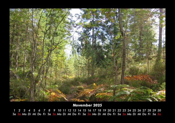 Produktbild: B&auml;ume 2025 Fotokalender DIN A3