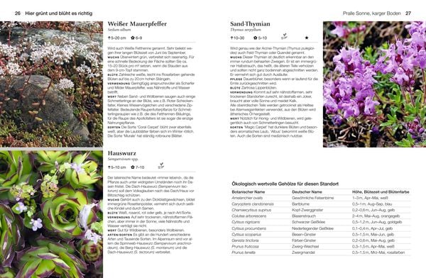 Produktbild: Welche Pflanze passt wohin im Naturgarten?
