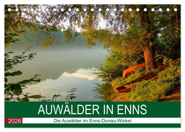 Auwälder bei Enns (Tischkalender 2026 DIN A5 quer), CALVENDO Monatskalender