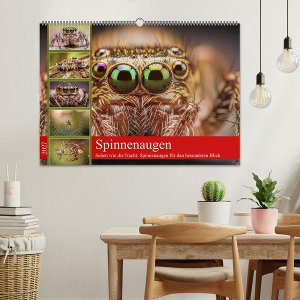 Produktbild: Spinnenaugen (Wandkalender 2027 DIN A2 quer), CALVENDO Monatskalender
