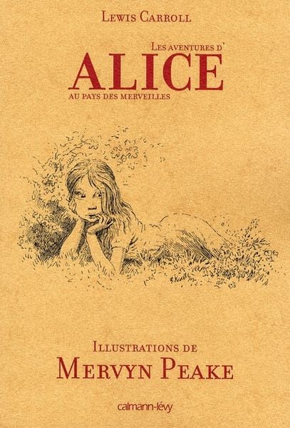 Produktbild: Les Aventures D Alice au Pays des Merveilles; la Traversee du Miroir