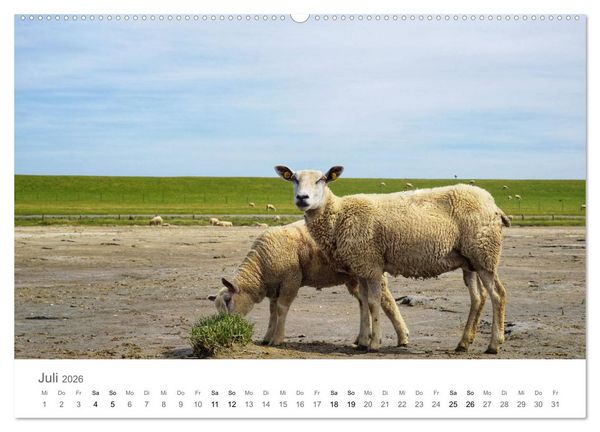 Produktbild: Nordfriesland (hochwertiger Premium Wandkalender 2026 DIN A2 quer), Kunstdruck in Hochglanz