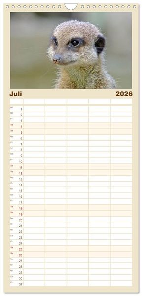 Produktbild: Familienplaner 2026 - Erdm&auml;nnchen mit 5 Spalten (Wandkalender, 21 x 45 cm) CALVENDO