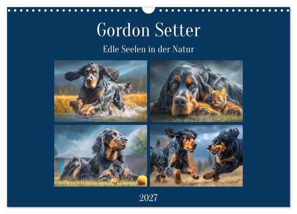 Produktbild: Gordon Setter. Edle Seelen in der Natur (Wandkalender 2027 DIN A3 quer), CALVENDO Monatskalender